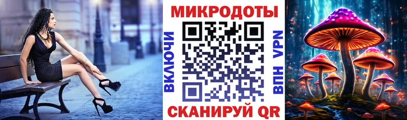 hydra ссылка  Гагарин  Псилоцибиновые грибы MAGIC MUSHROOMS  цена  