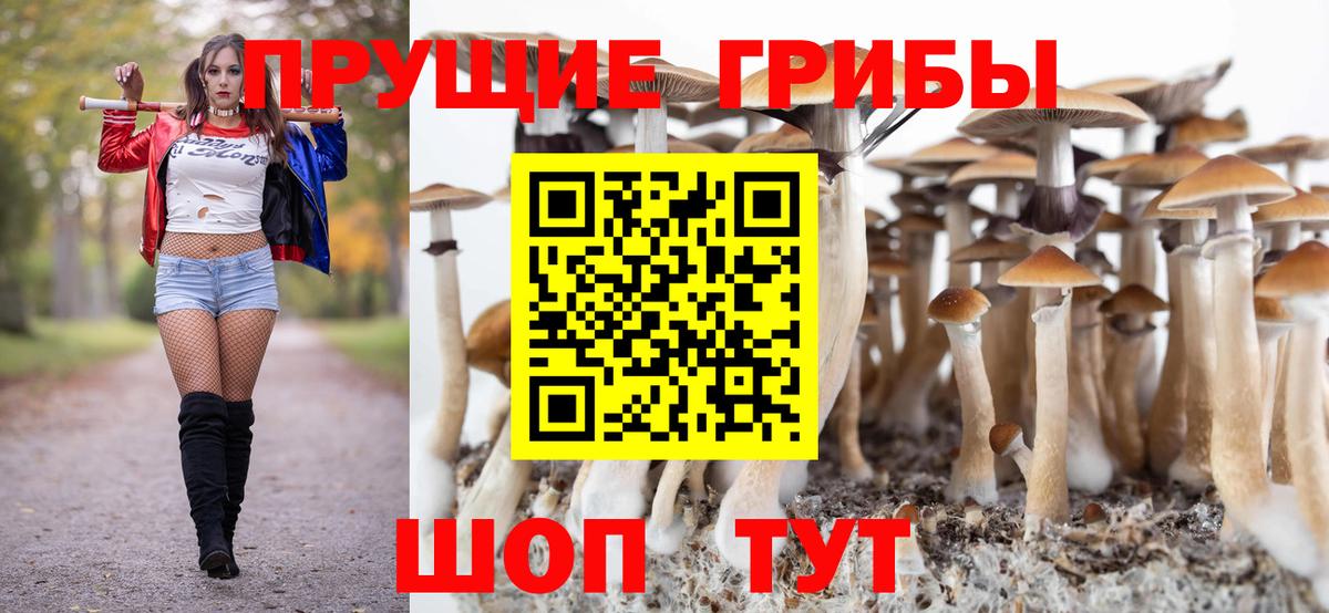 Гагарин  Галлюциногенные грибы ЛСД  Вход с VPN 
