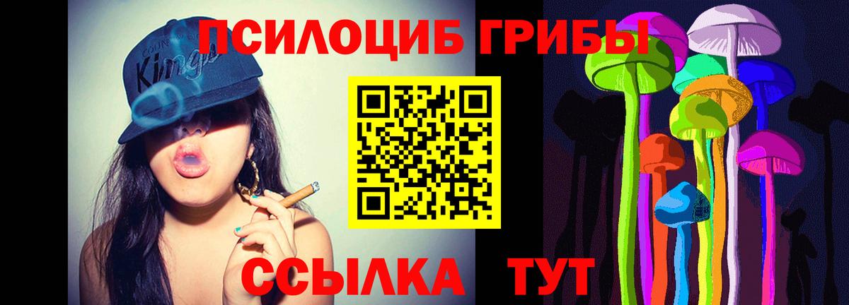 Галлюциногенные грибы прущие грибы Гагарин